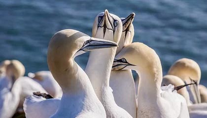 mk体育官网-国家队失误率居高不下反映训练漏洞，国家队难受