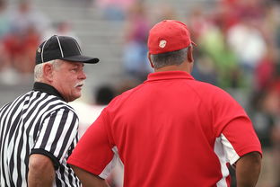 mk体育官网-中甲联赛在整体体系中的定位，中甲联赛赛制